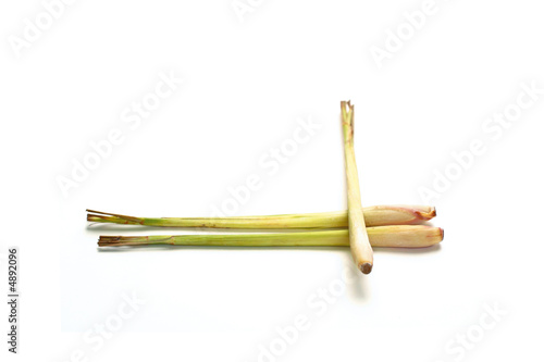 Zitronengras