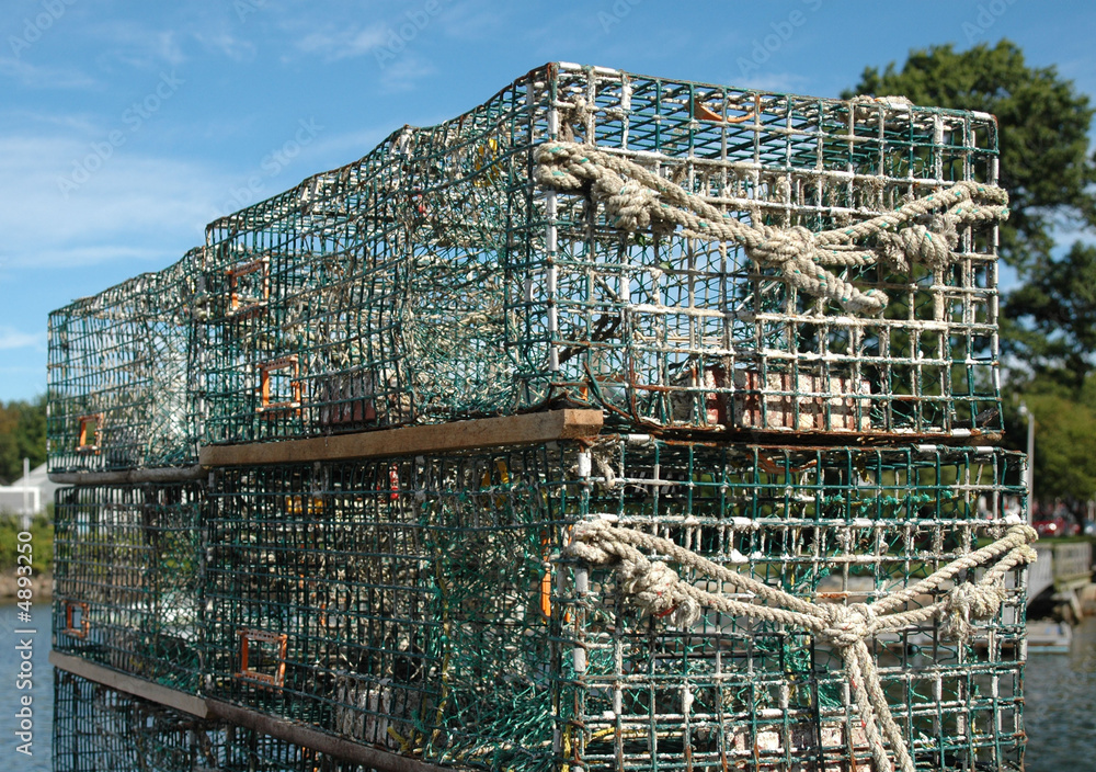 Lobster Traps