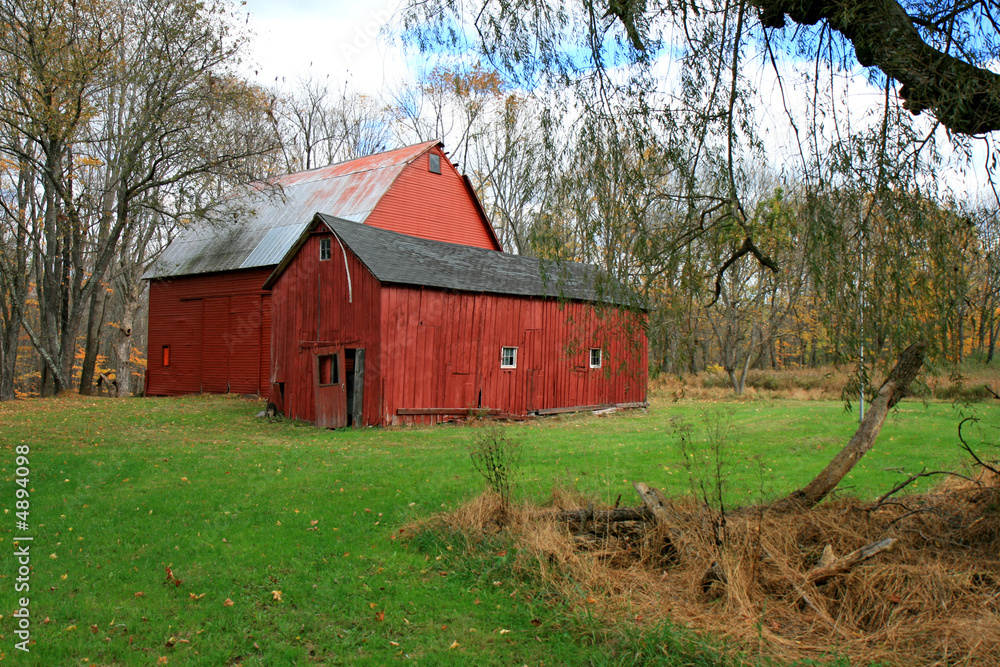 Obraz premium Red Barn