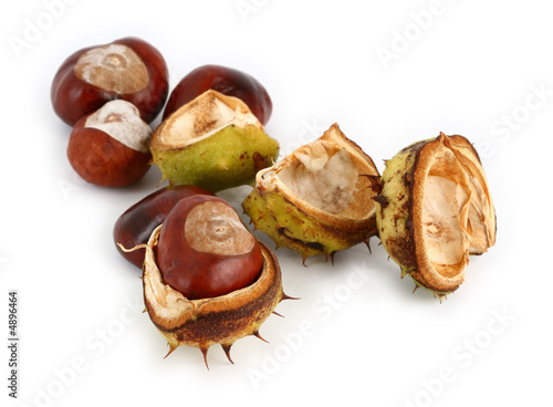 group of chestnuts