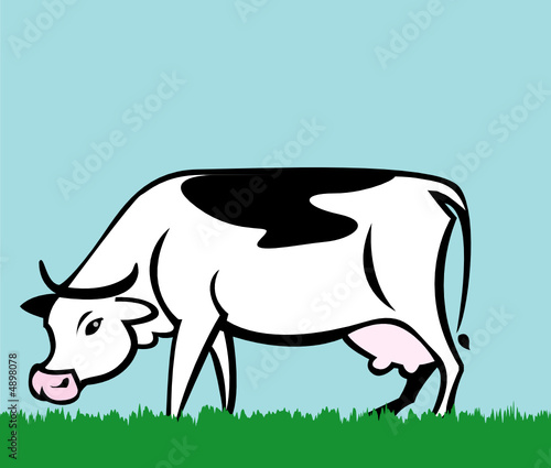 vache