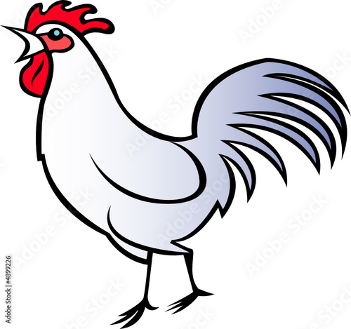 coq