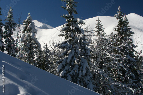 Winter in tatra mountains