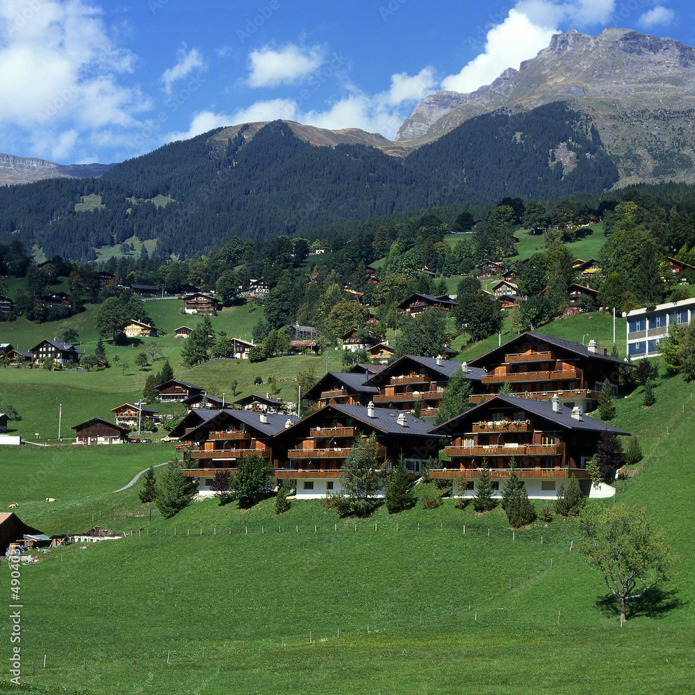 Grindlewald in Switzerland