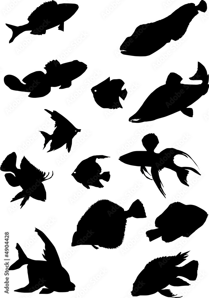fish silhouettes collection