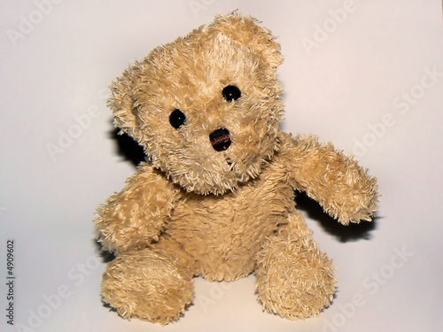 Ours en peluche