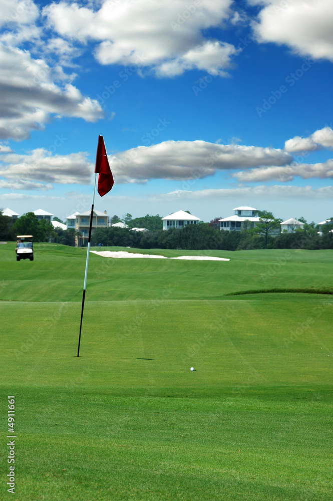 Obraz premium Ball on Green