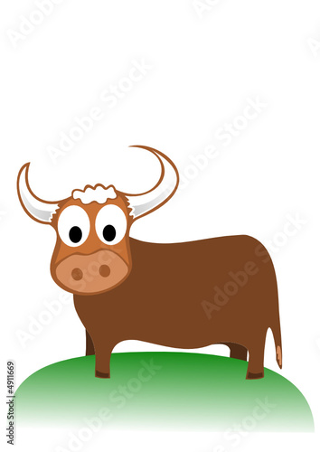 Stier