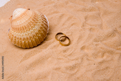 Shell and wedding band in white sand