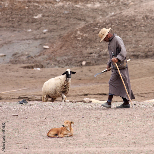 le vieil homme et le mouton photo