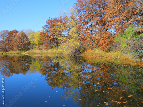 Fall colors on Thomas Lake  Minnesota