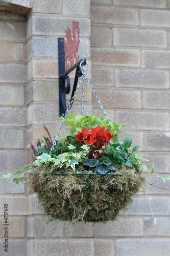 winter hanging basket