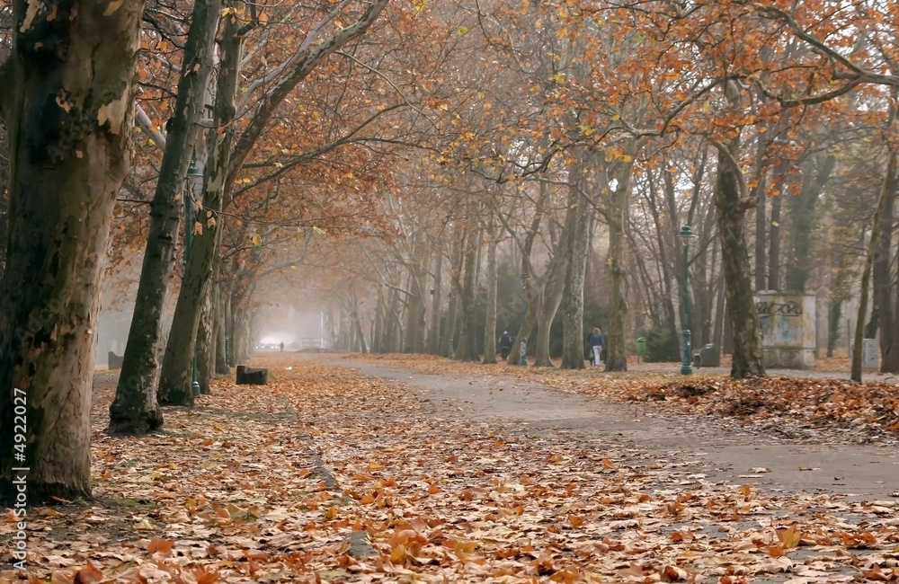 Fall in a Park Fall in a Park