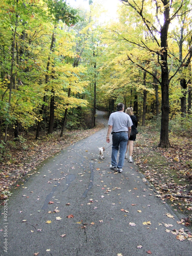 Fototapeta premium walking the dog