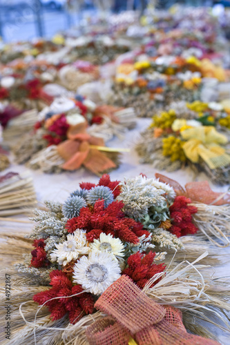 Weimarer Zwiebelmarkt 2 photo