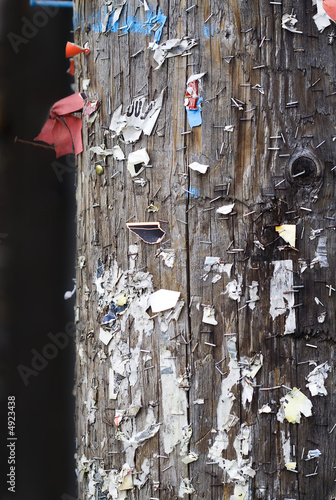 Staples on a wooden hydro pole