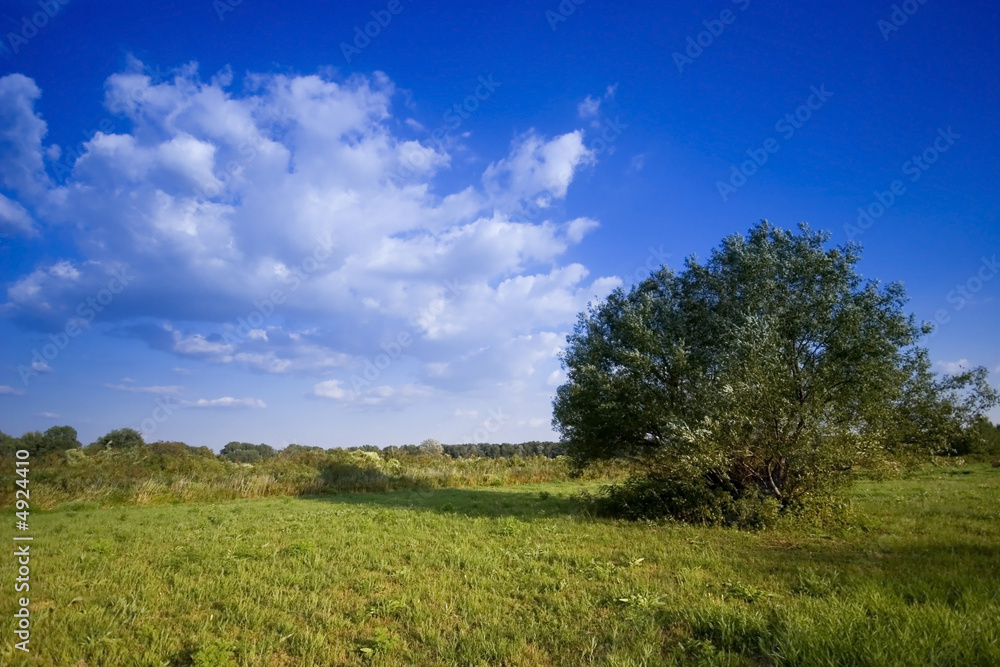  Summer hay bale and tree in field and blue sky