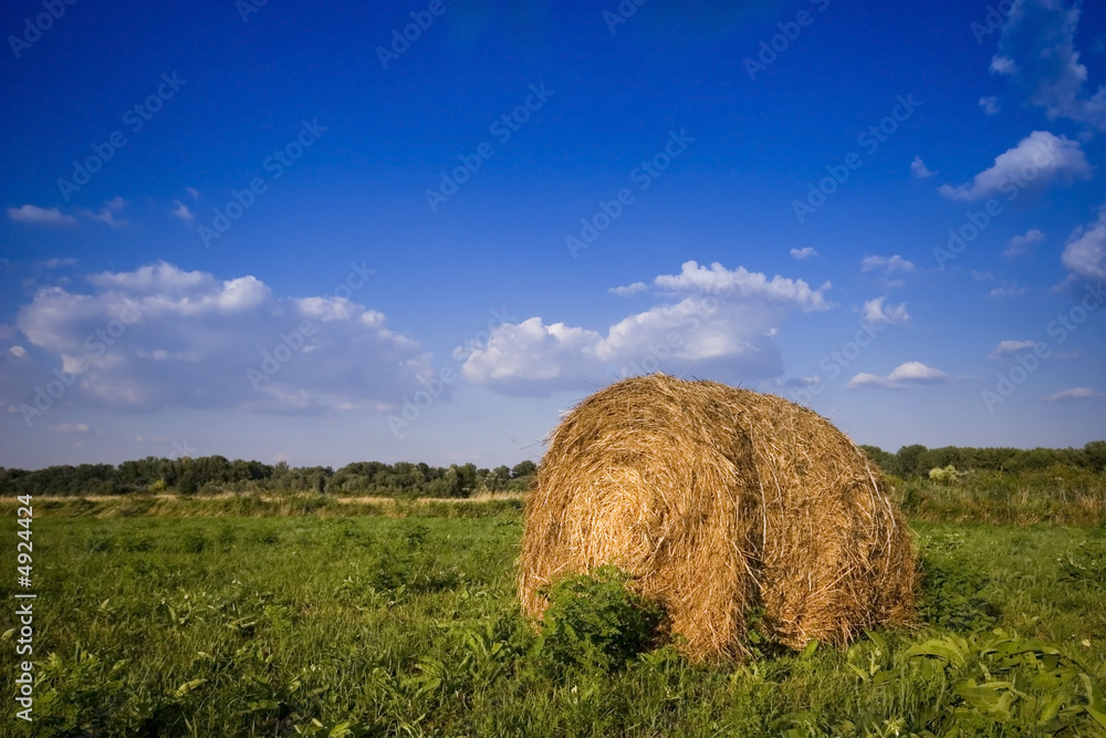 Summer in the rural