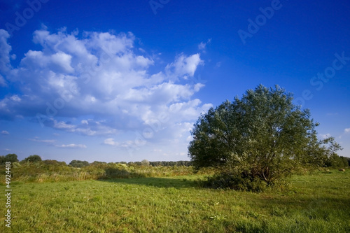 Summer in the rural