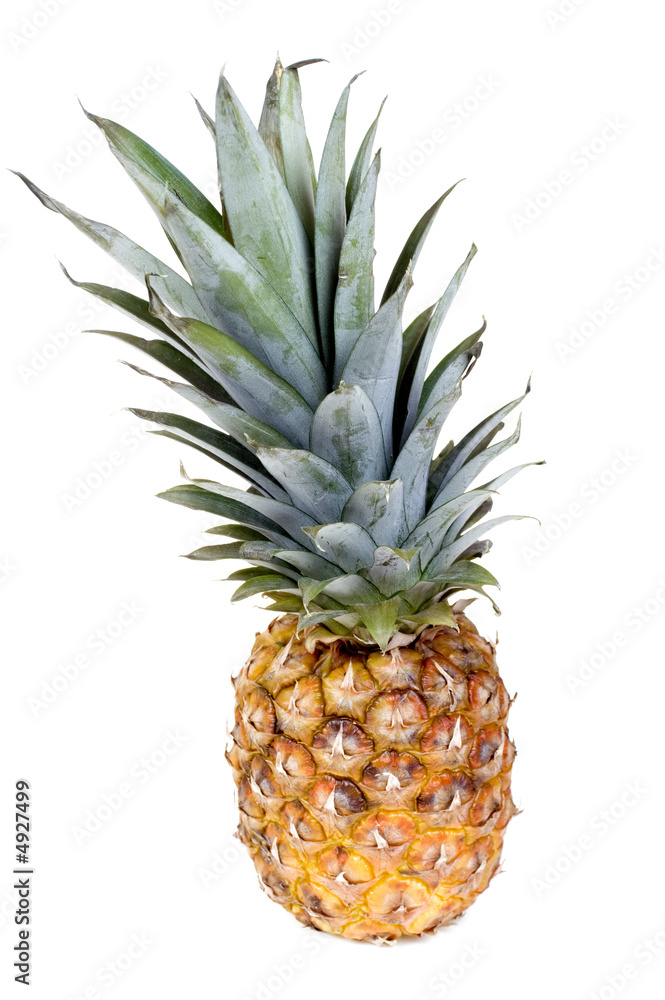 Fototapeta premium Pineapple