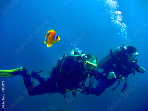 Wallpaper Mural Taucher Torontodigital.ca