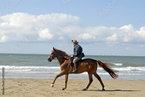 cheval sur la plage © aldegonde le compte