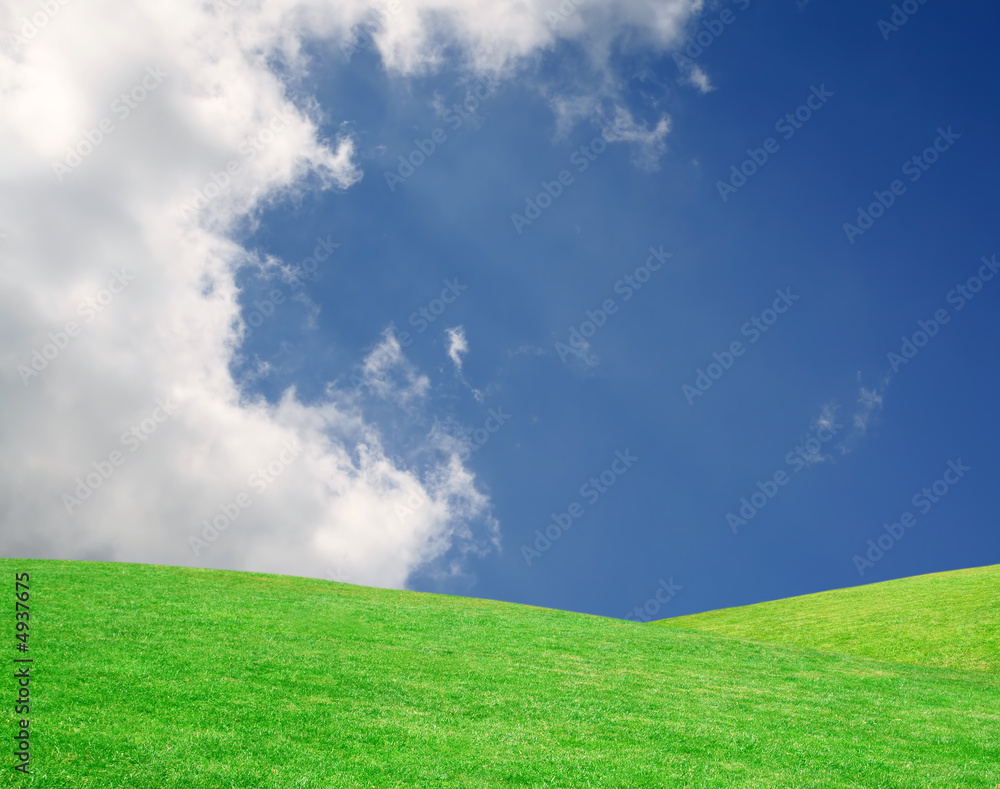 Fototapeta premium Sunny Meadow