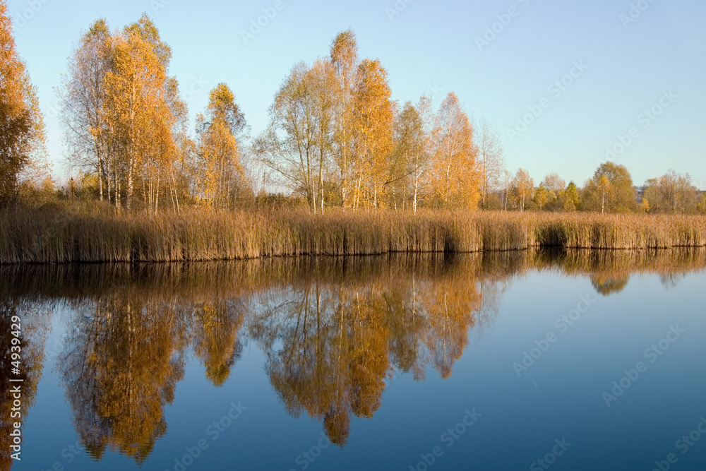 Mellow autumn Mellow autumn