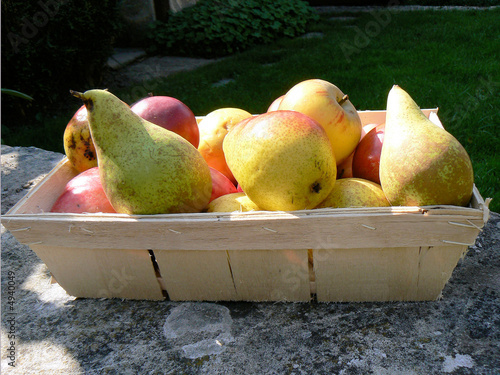 Fruits d'automne