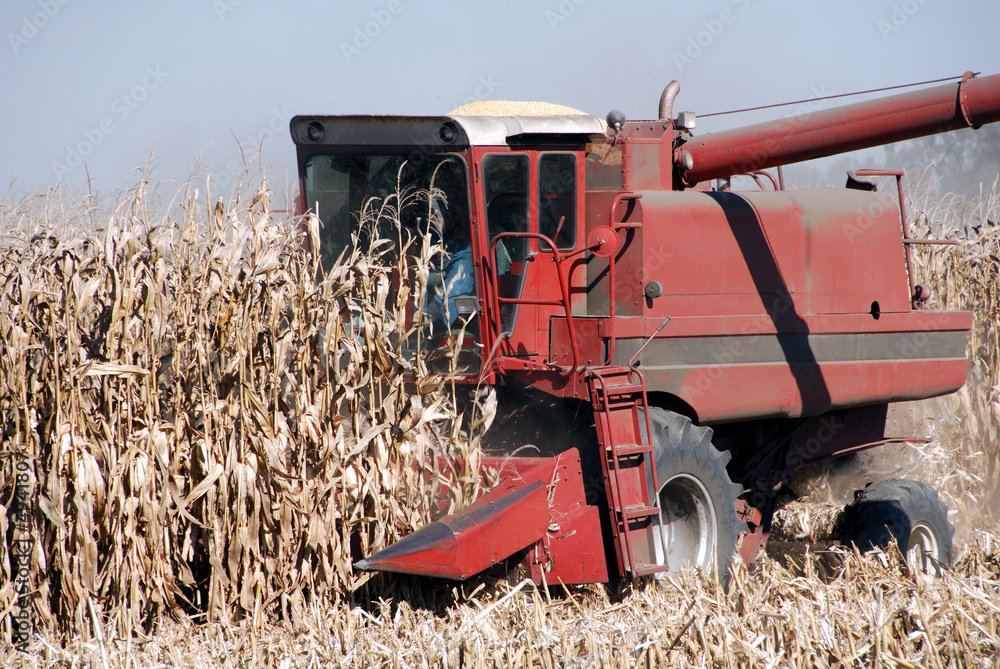 Obraz premium Combine and Corn