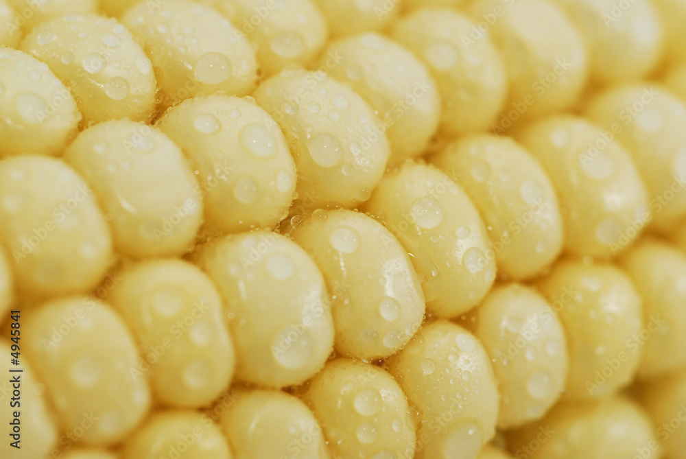Fresh corn Fresh corn