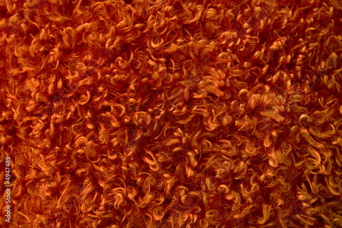 Brown shag carpet texture