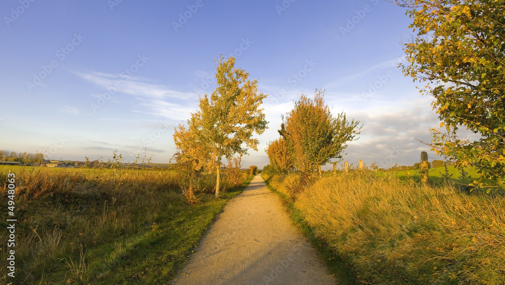 Naklejka premium greenway