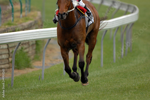 A single race horse on an empty track.