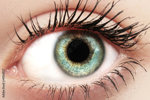 Eye Macro Shot