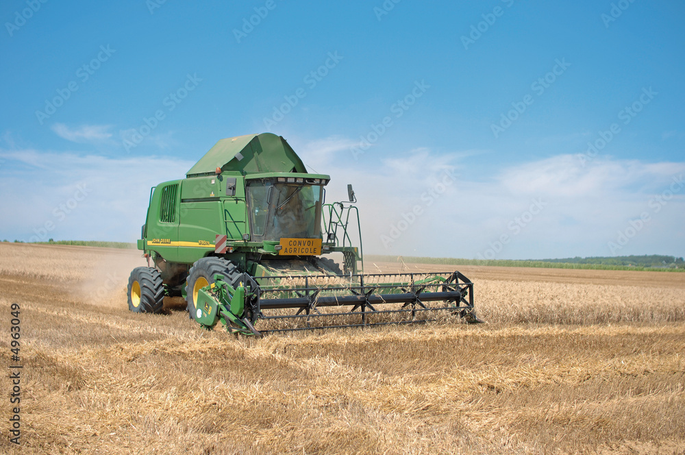 Fototapeta premium moisson des blés