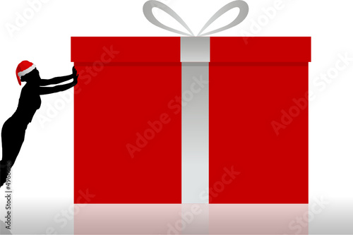 Pacco regalo natalizio