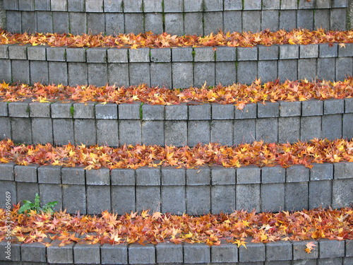 Leaf and Stair Pattern