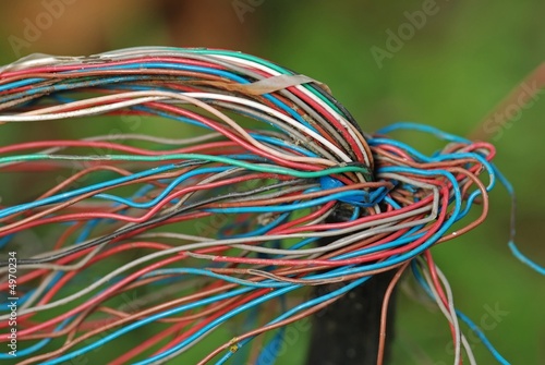 Telephone wire in the gardens