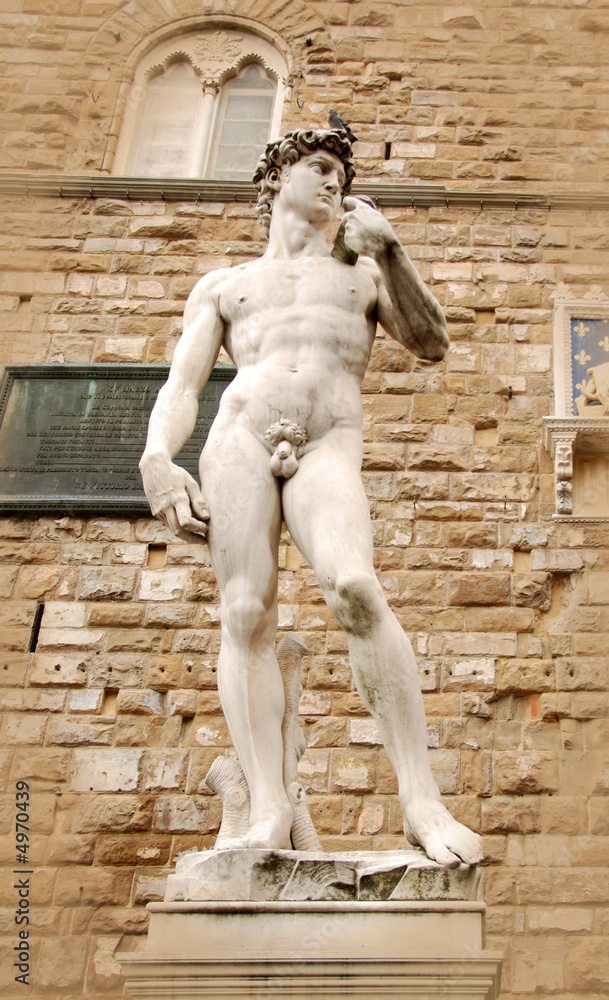 Obraz premium Statue of David by Michelangelo