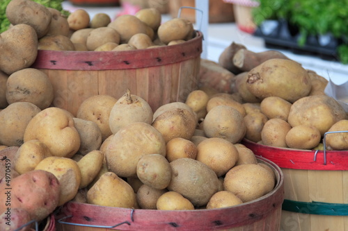 Bushels of Potatoes