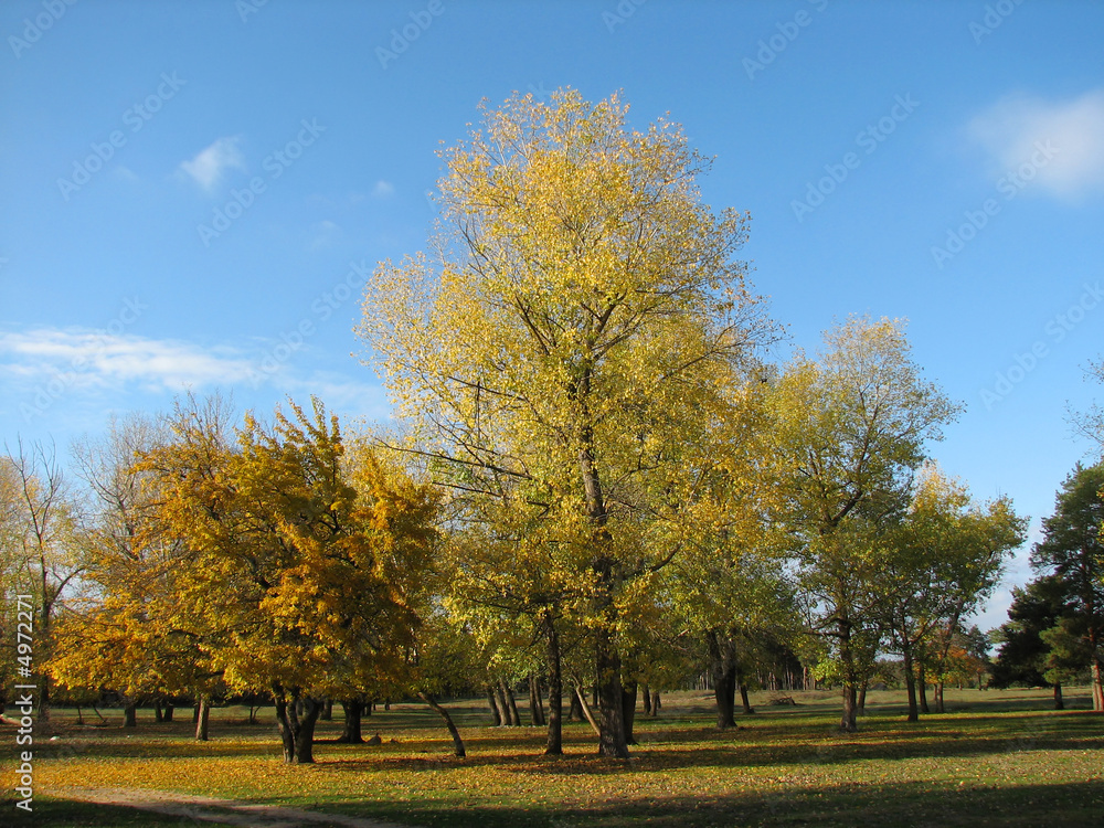 Fototapeta premium Autumn landscape