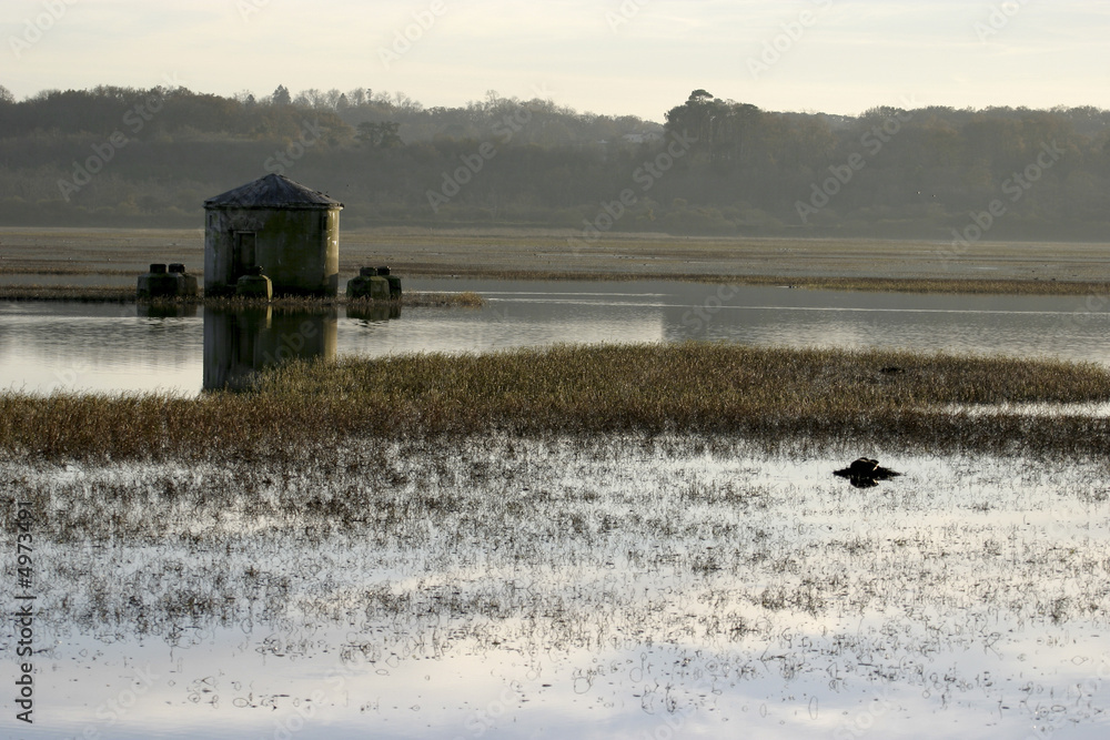 Fototapeta premium Marais d'Orx