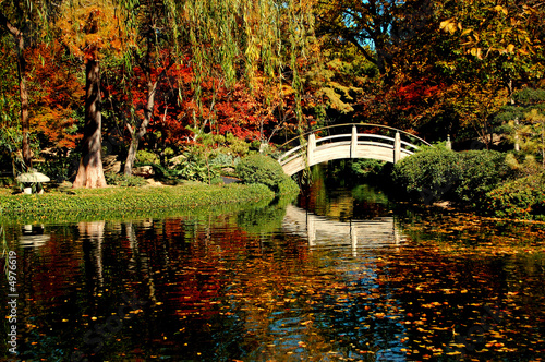 A Japanese Garden with Fall colors and foliage