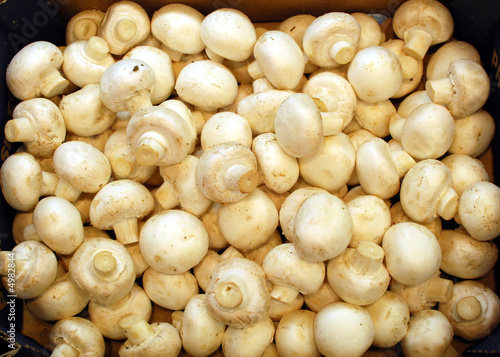bin of fresh raw white mushrooms