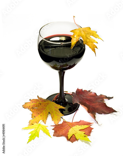 Glass of vine with fall multicolored leafs