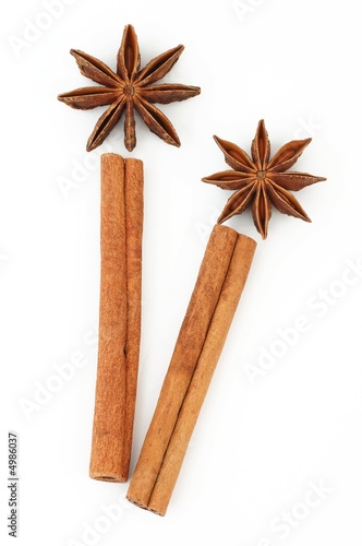 aniseed and cinamon on white background