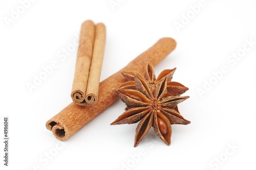 aniseed and cinamon on white background