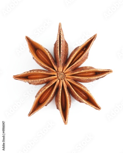  aniseed on white background
