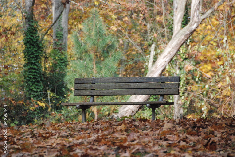 Fall bench Fall bench